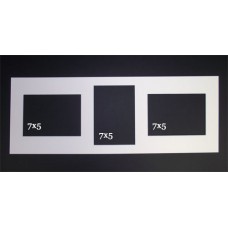 Multi Mount 005 (24 1/4 x 8 3/4 fits 7x5)